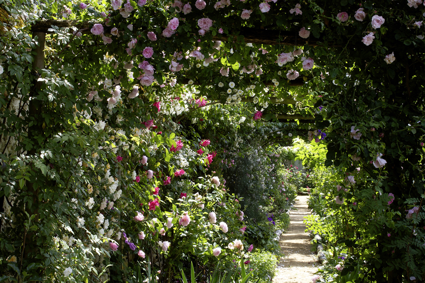 Jardin d'André Eve